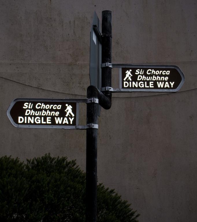 The Dingle Pub Rooms 외부 사진